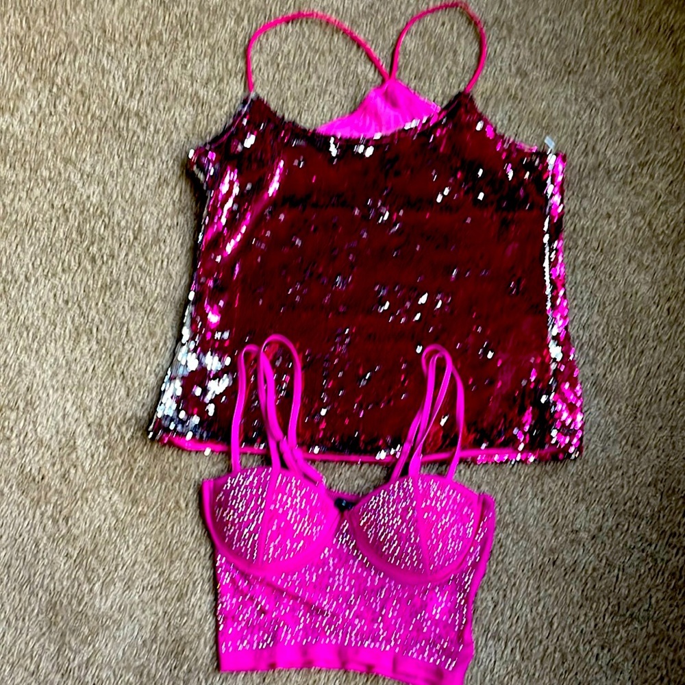 Pink Embellished Bustier Crop & Main Strip Pink Sequin Camisole Bundle